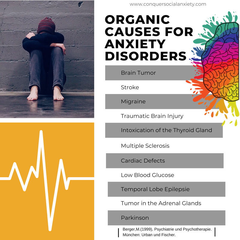 Similar Disorders 6 Organic causes for anxiety disorders 4 Similar Disorders 6 Organic causes for anxiety disorders 4