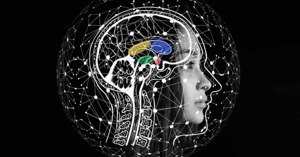 CBD intake is associated with lower subjective anxiety in people with SAD, probably due to changes of activity in lymbic and paralymbic brain areas.