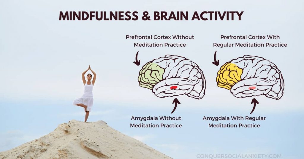 Regular meditation and mindfulness practice have been shown to increase activity in the prefrontal cortex and lower the amygdala response in stress situations.