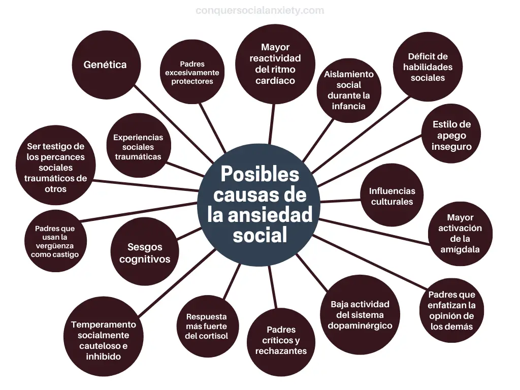 Infografía: Las posibles causes de ansiedad social.