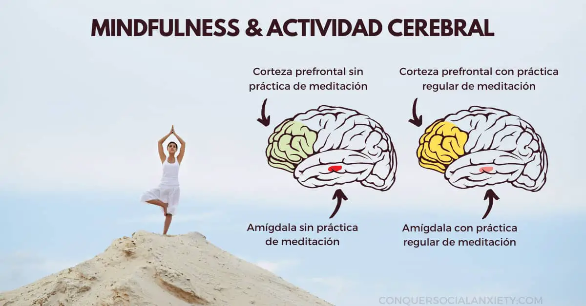 Se ha demostrado que la práctica regular de la meditación afecta a la actividad cerebral, ya que el córtex prefrontal se engrosa y gana más influencia sobre la amígdala, también conocida como el centro del miedo del cerebro.