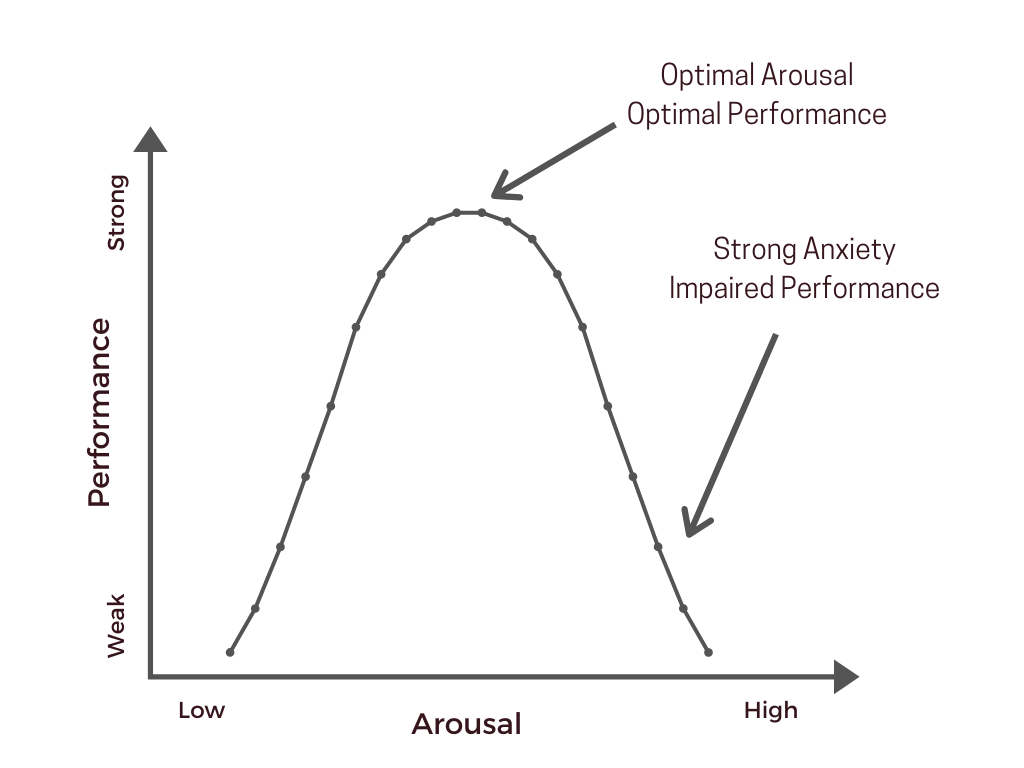 Hebbian version of the Yerkes–Dodson law: Sweet Spot of Anxiety (Diamond, Campbell, Park, Halonen, & Zoladz, 2007).