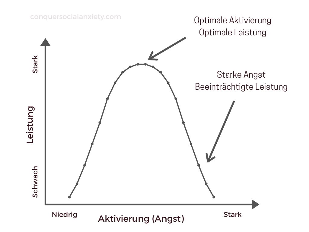 Hebbsche Version des Yerkes-Dodson-Gesetzes: Sweet Spot of Anxiety (Diamond, Campbell, Park, Halonen, & Zoladz, 2007).