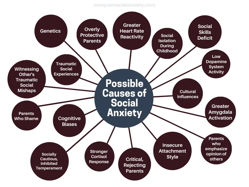 Potential causes of social anxiety disorder.