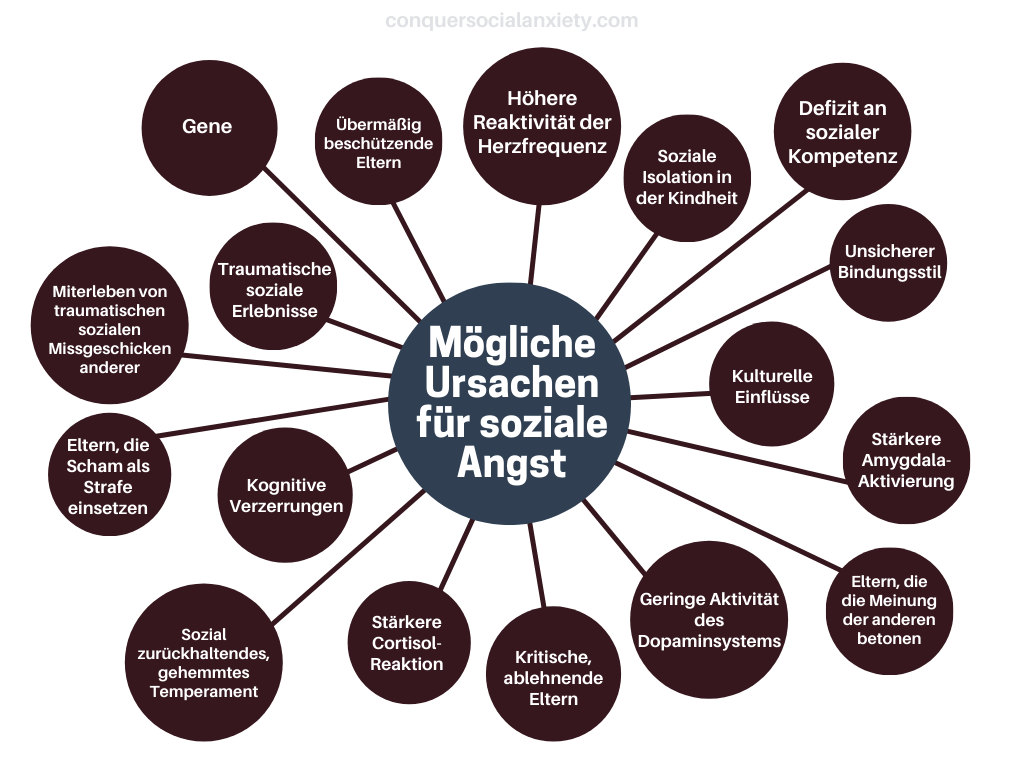 Mögliche Ursachen der sozialen Angststörung.