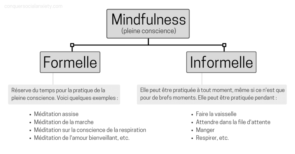 La pleine conscience peut être divisée en pratique formelle et informelle. La pratique formelle comprend la méditation, la pratique informelle peut être appliquée à tout moment, par exemple en faisant la vaisselle ou en faisant la queue.