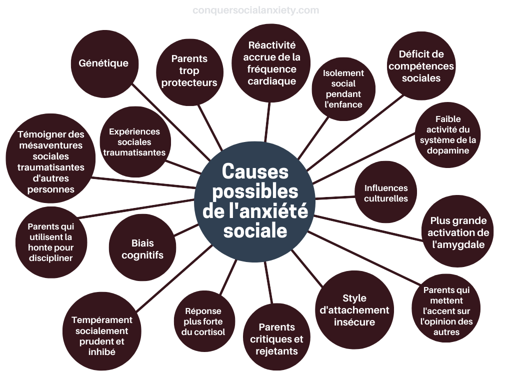 Ce graphique illustre les différentes causes potentielles du trouble de l'anxiété sociale.