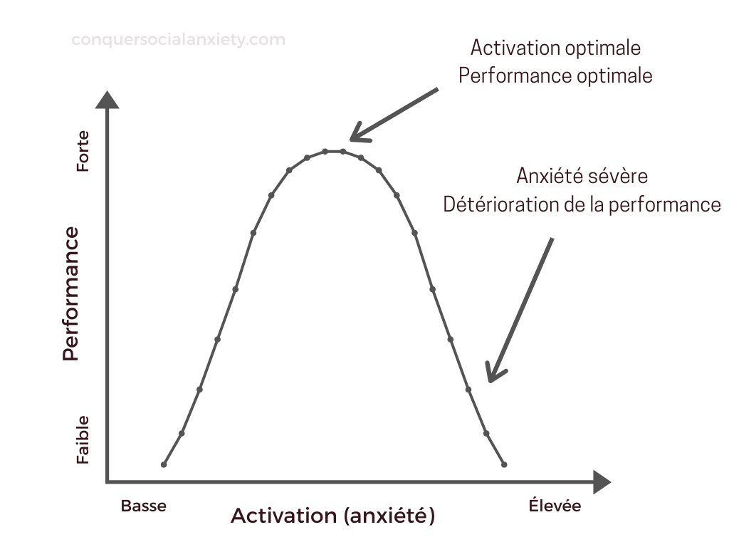 Version hebbienne de la loi de Yerkes-Dodson : Sweet Spot of Anxiety (Diamond, Campbell, Park, Halonen, & Zoladz, 2007).