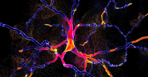 Neuroscience de la phobie sociale : Le rôle de ton équilibre en dopamine