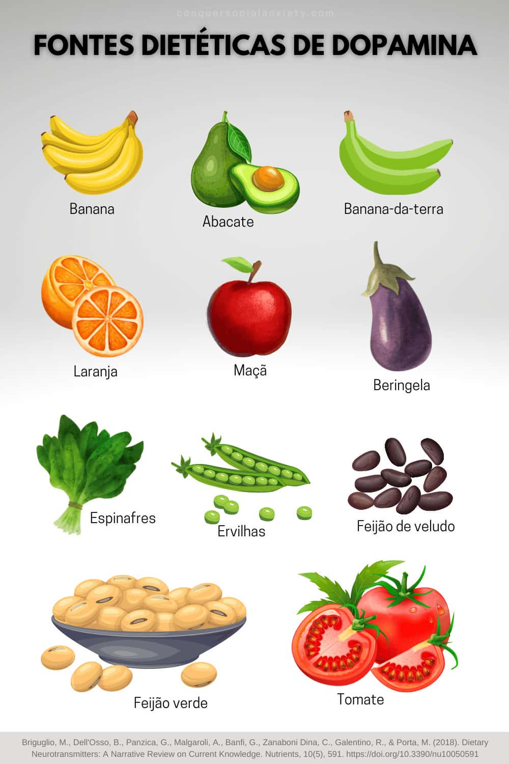 Este gráfico resumiu visualmente os diferentes alimentos que contêm dopamina.