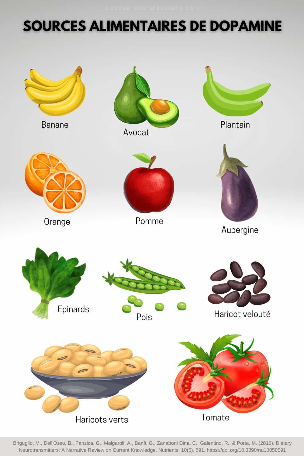 Ce graphique résume visuellement les différents aliments qui contiennent de la dopamine.